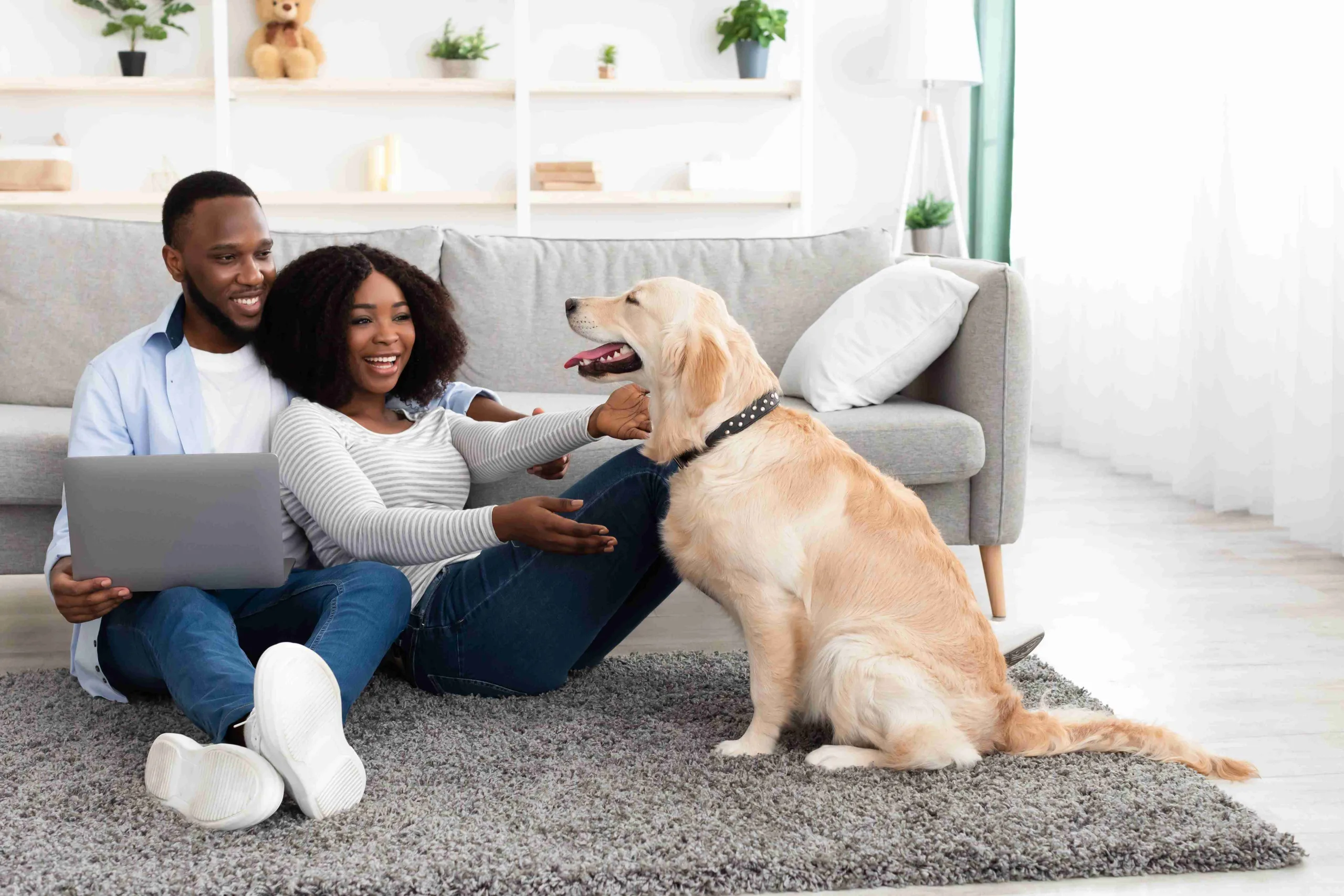 Man and woman on living room floor leaning up against their couch. They are with a Golden Labrador Retriever who is smiling the man, and the woman are laughing. In the background is a white bookshelf with contemporary decor on it.