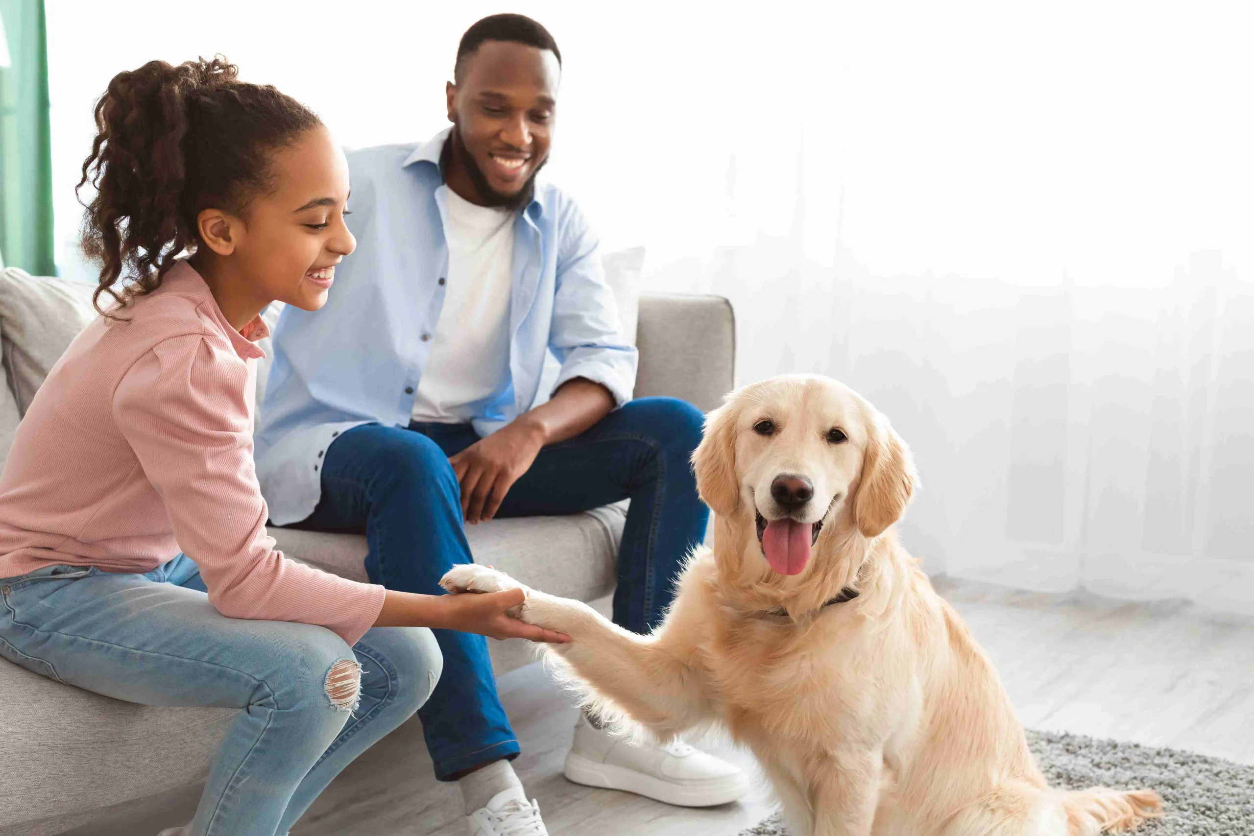 Man, and daughter admiring their pet Golden Retriever in their new living room. The pre-teen girl is holding the dog's paw and leaning in. The dog looks happy and relaxed at the camera. The dad is observing the two and smiling.